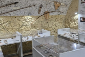 Exposition - Salle préhistoire au musée Regain AnnotAnnot