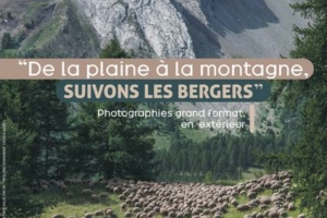 Exposition - De la plaine à la montagne, suivons les bergers_La Rochette