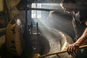 "les moulins en mouvement" visite guidée flash_Entrevaux