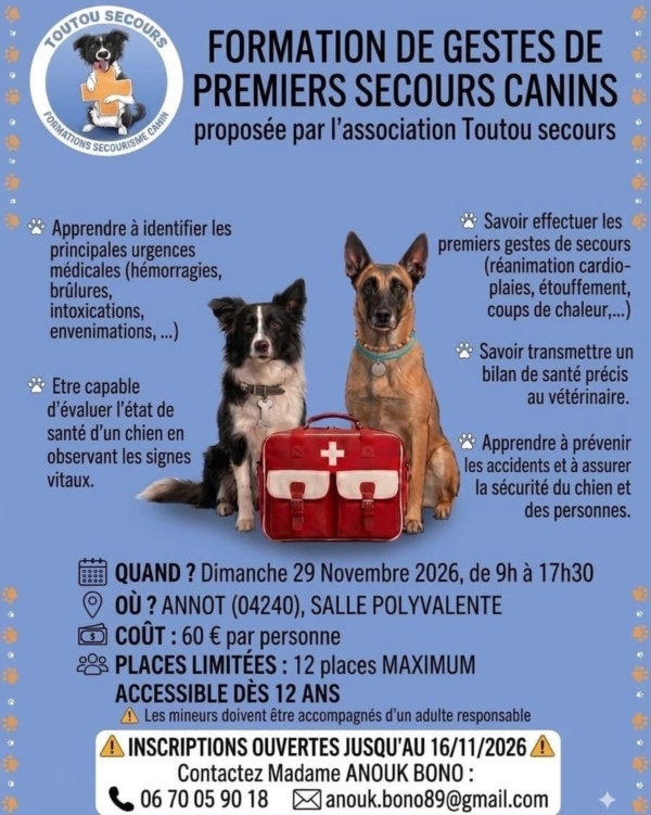 Formation 1ers secours canins