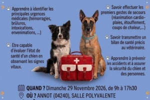 Formation 1ers secours canins