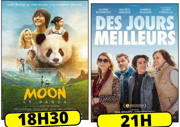 ciné novembre